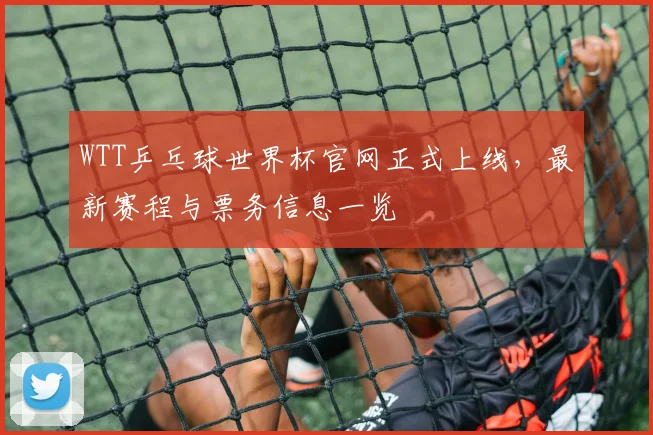 WTT乒乓球世界杯官网正式上线,最新赛程与票务信息一览