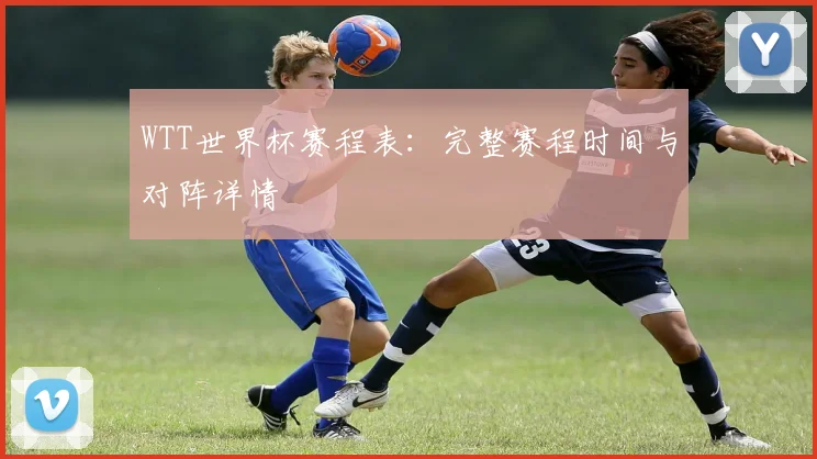 WTT世界杯赛程表:完整赛程时间与对阵详情