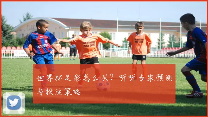 世界杯足彩怎么买?听听专家预测与投注策略