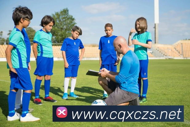 mksports在线登录平台生态图